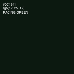 #0C1911 - Racing Green Color Image